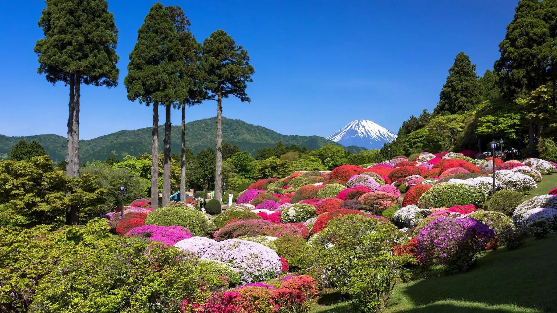 Oku Yugawara Sansuirou Hotel 4*,  Japan